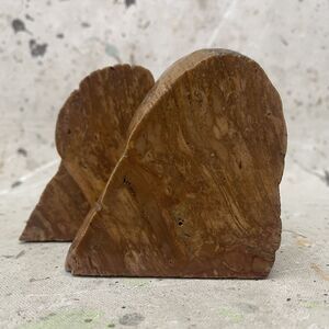 Vintage Set of 2 Petrified Wood Bookends